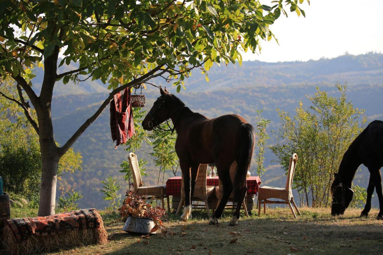 Lost Ridge Inn, Brewery & Ranch Sighnaghi Eksteriør billede